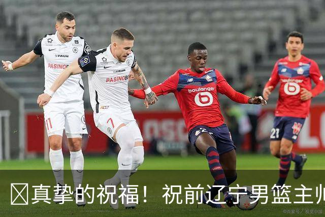 🎂真挚的祝福！祝前辽宁男篮主帅、辽篮名宿杨鸣41岁生日快乐！